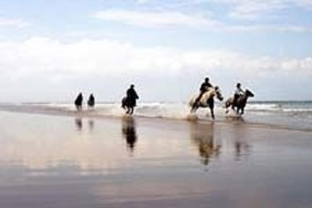 Knights Haven Bed & Breakfast Glin Bagian luar foto