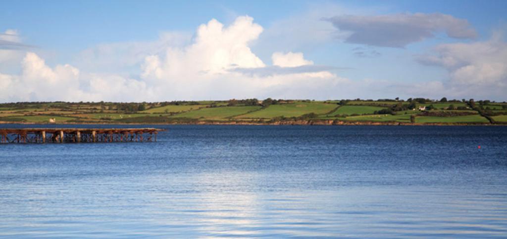 Knights Haven Bed & Breakfast Glin Bagian luar foto