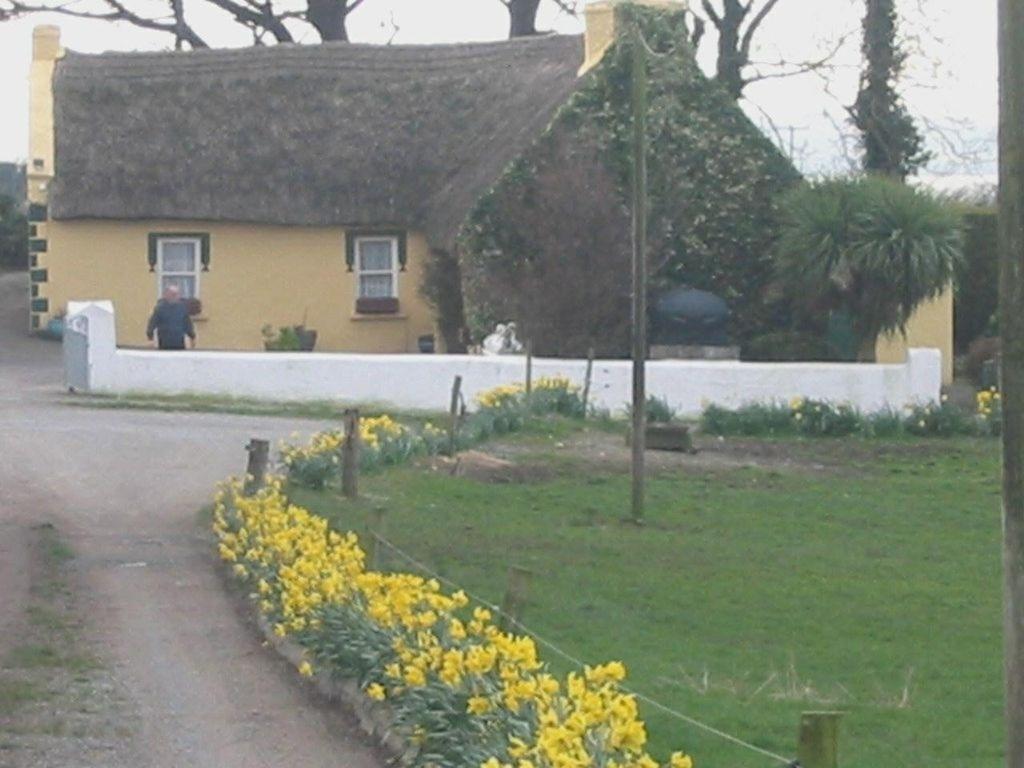 Knights Haven Bed & Breakfast Glin Bagian luar foto