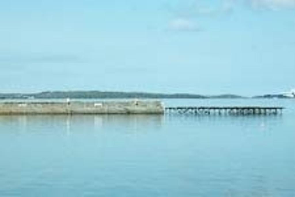 Knights Haven Bed & Breakfast Glin Bagian luar foto
